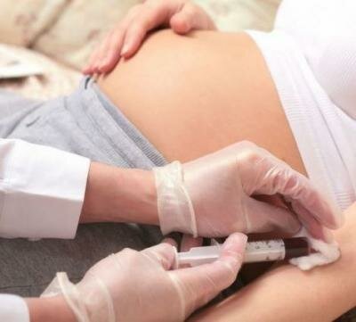 Направление на анализ крови при беременности
